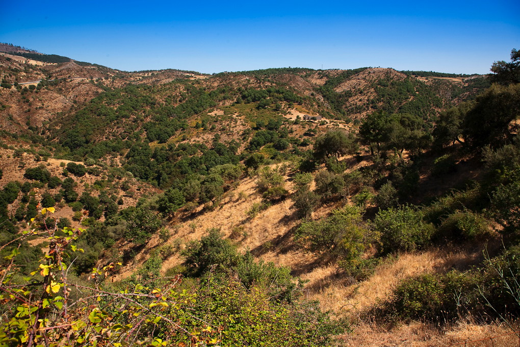 Barbagia, Nuoro